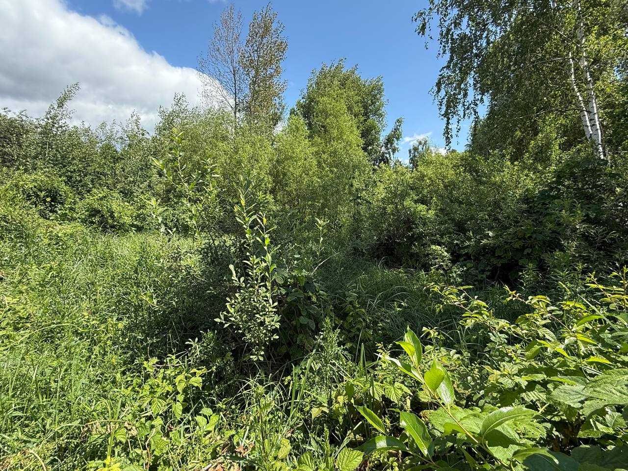 Продаж ділянки 12сот під забудову. Є охорона. Поряд ліс і озеро.ID:153