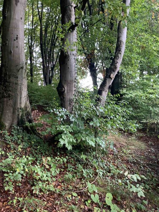 Земельна ділянка 10 сотих в Миколаєві. Готовий працювати з рієлтером