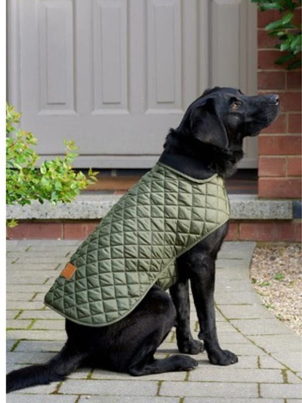 куртка для собаки попона зелена