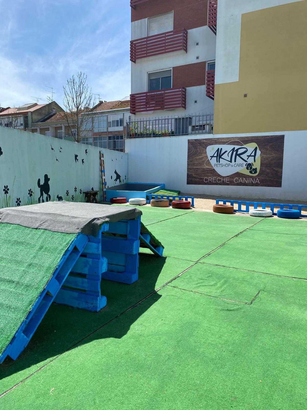 Oportunidade de trespasse loja de animais, creche/hotel canino