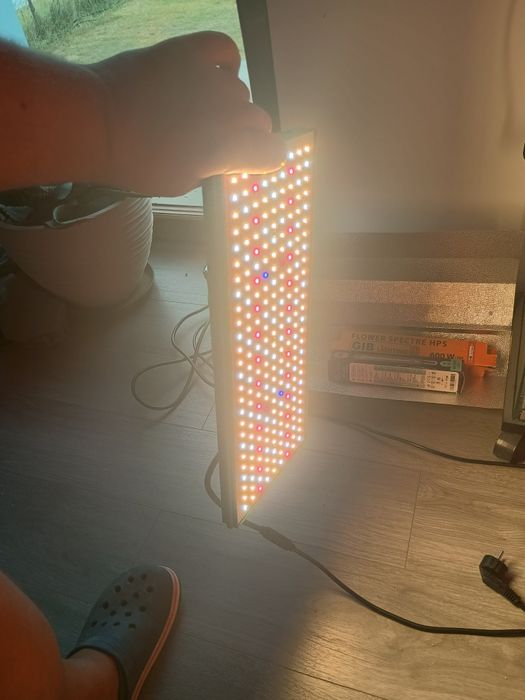 Lampa do roślin .
Odbiór Uraz albo Wrocław