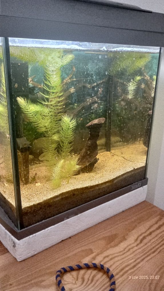 Sprzedam akwarium Tetra 60l