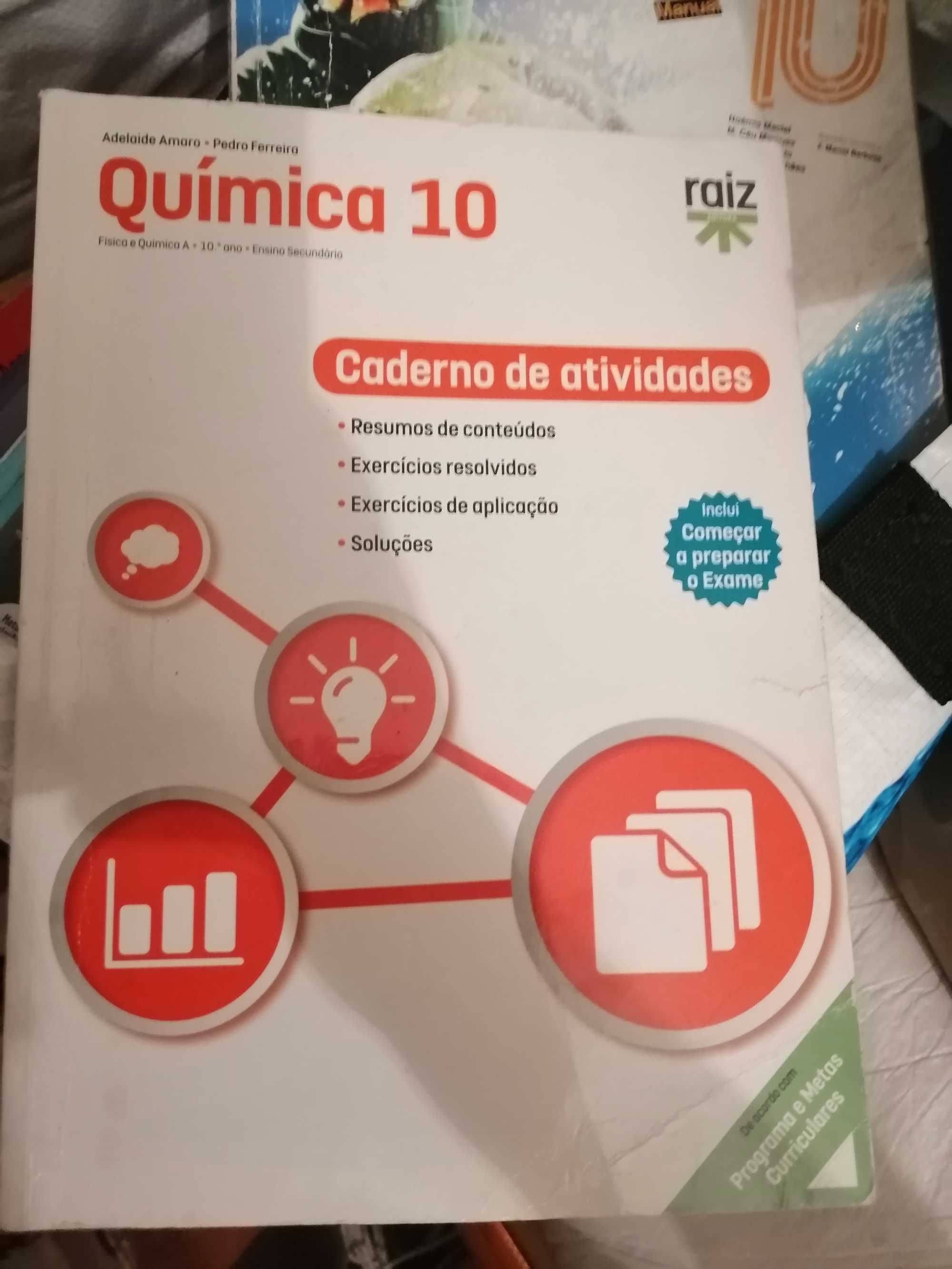 Química 10 RAÍZ CA