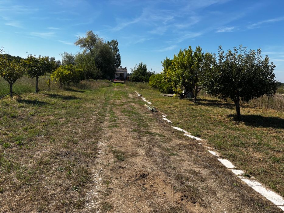 Terreno com 2 casas Habitacionais