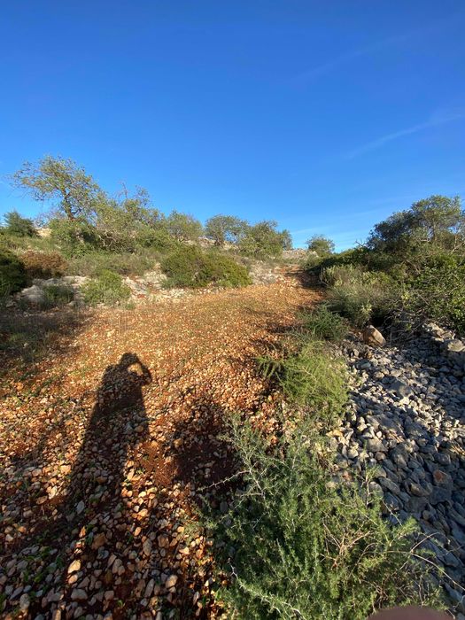Terreno Vista Mar - Boliqueime