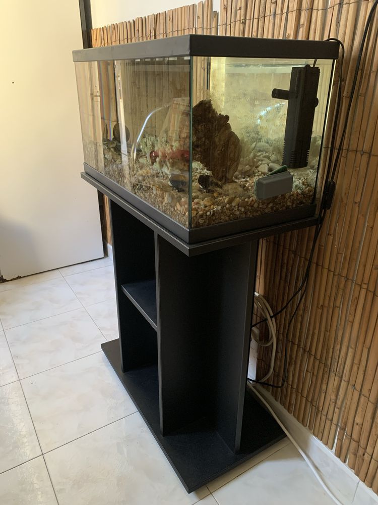 Vendo aquario usado com movel