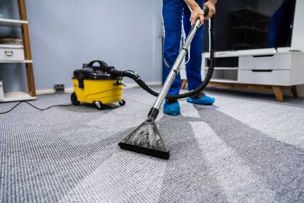 Limpeza e higienização: carpetes,  colchões, sofás, estofos automóvel