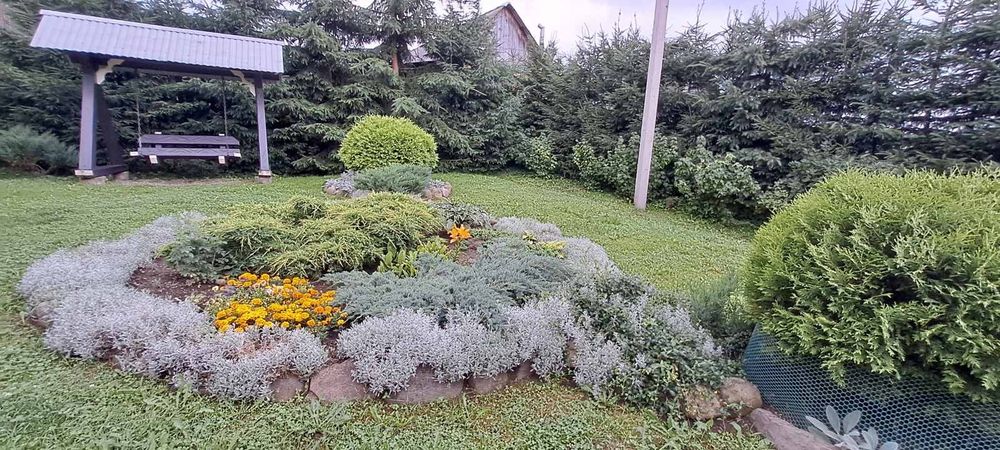 Відпочинок у Ворохті "Сімейний котедж"