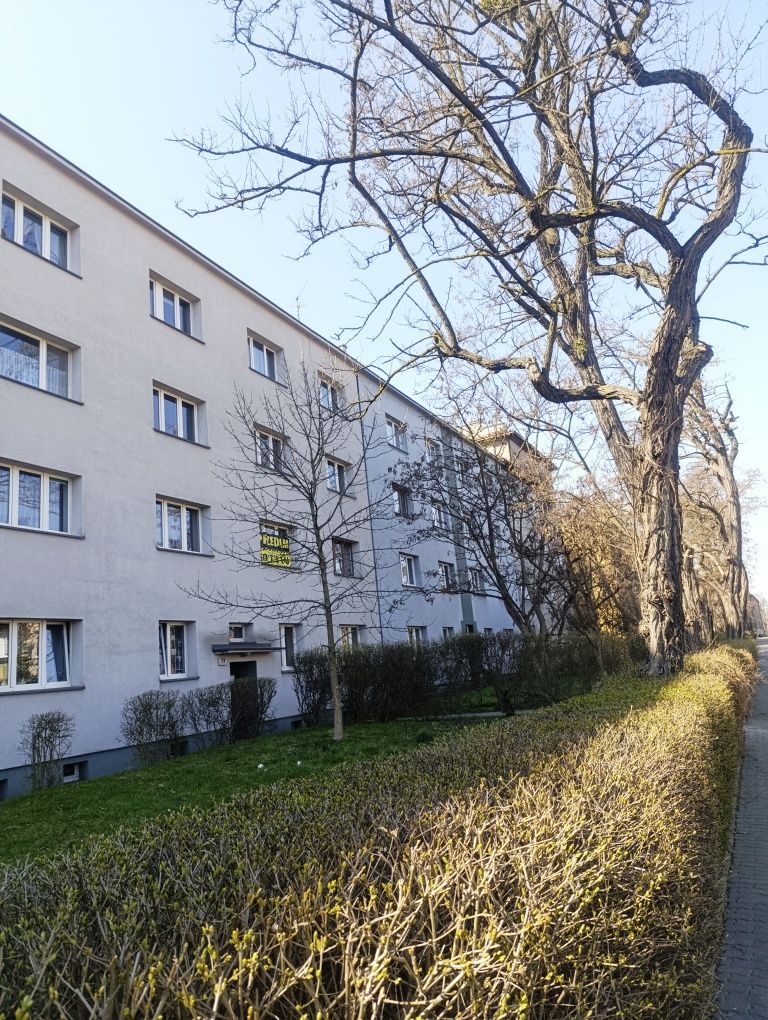 W centrum, duża, gotowa do wejścia kawalerka