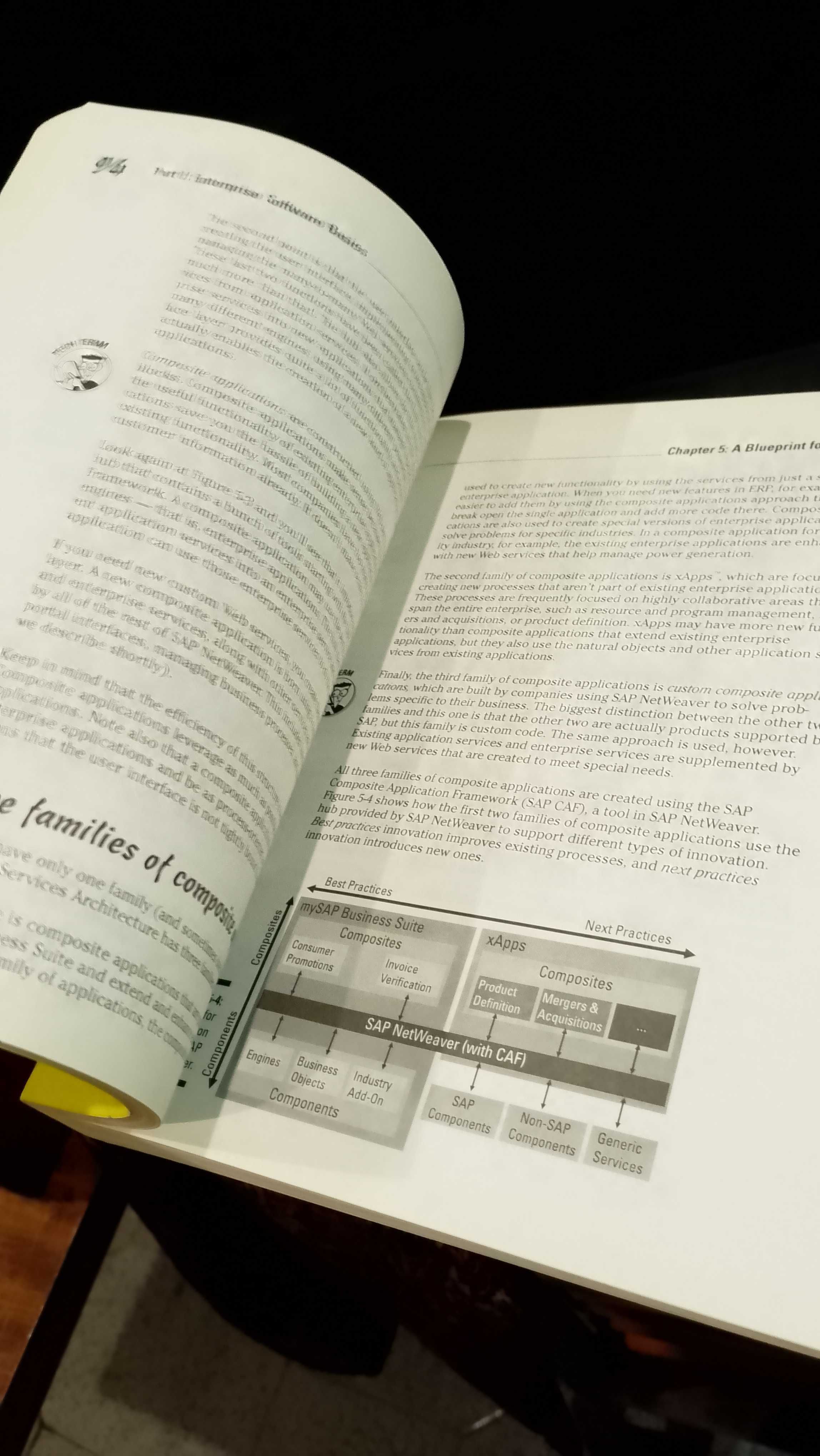 SAP NetWeaver for Dummies - Dan Woods e Jeffrey Word