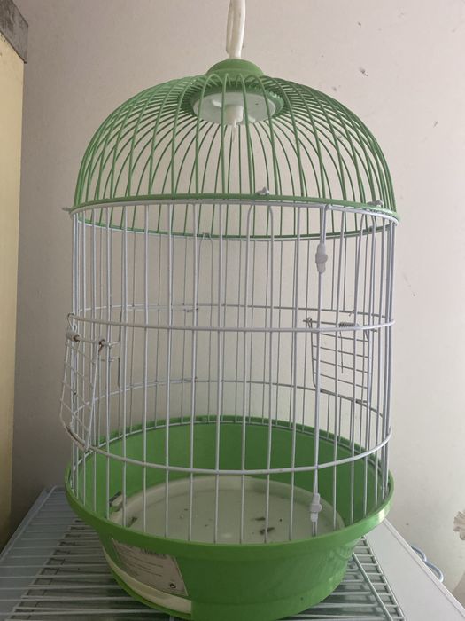 Gaiola redonda verde com poleiro e dois comedouros