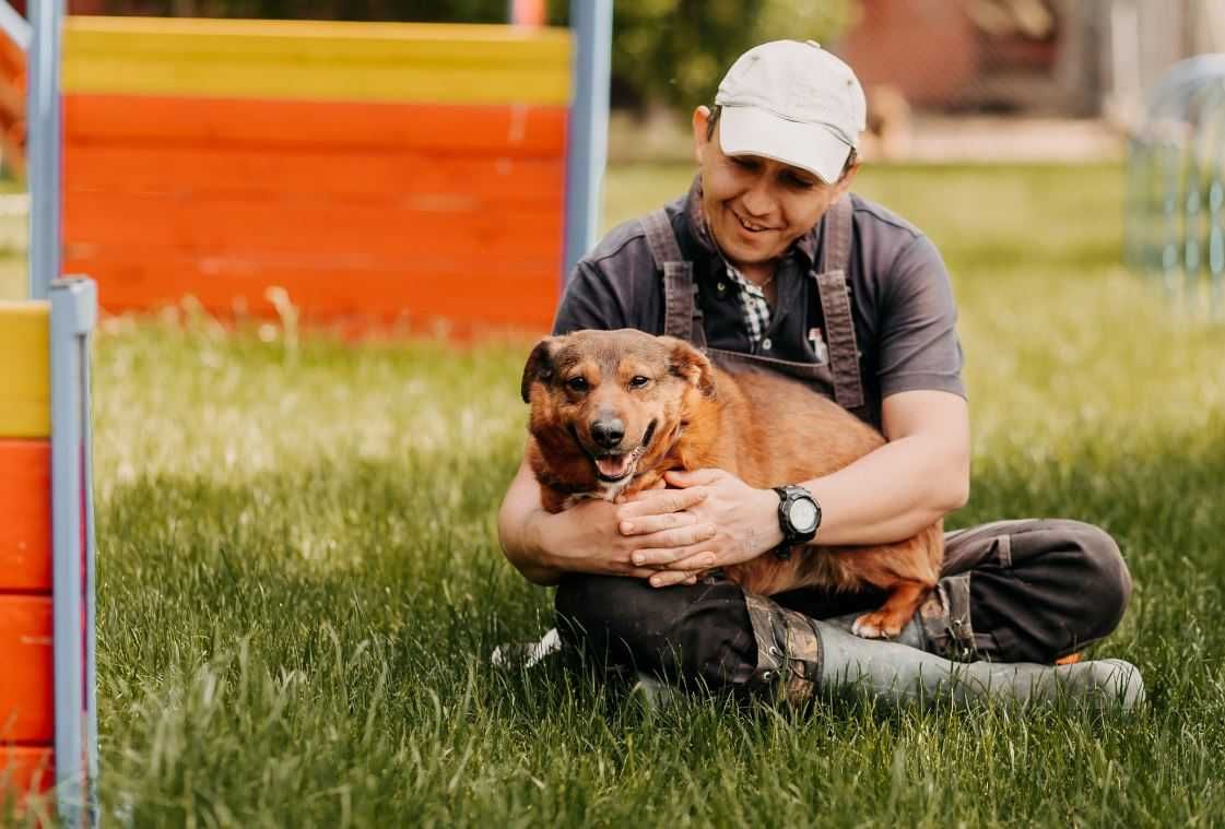 Pozytywny, młody wielbiciel głasków poleca się do adopcji