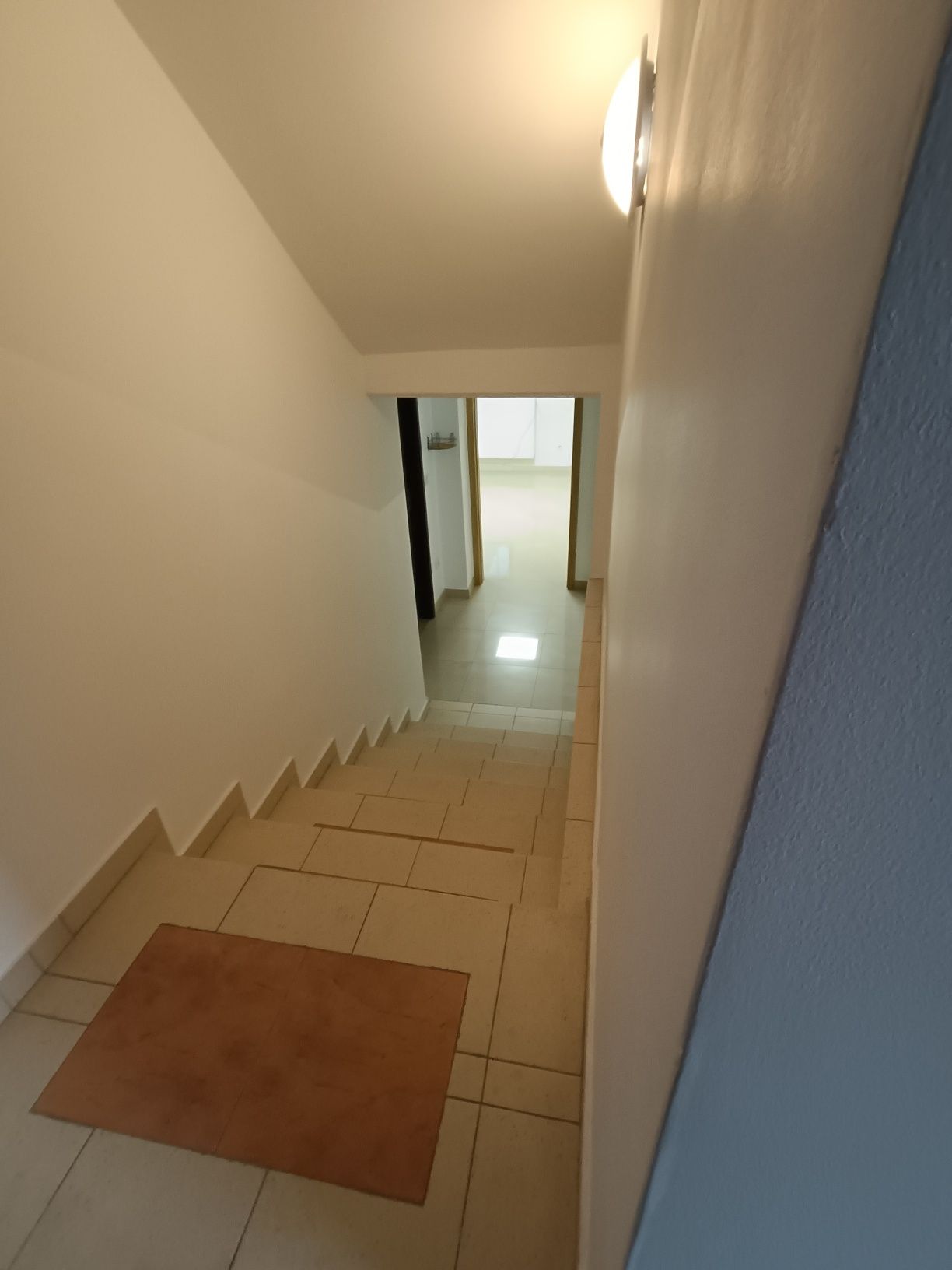 Lokal mieszkanie do wynajęcia