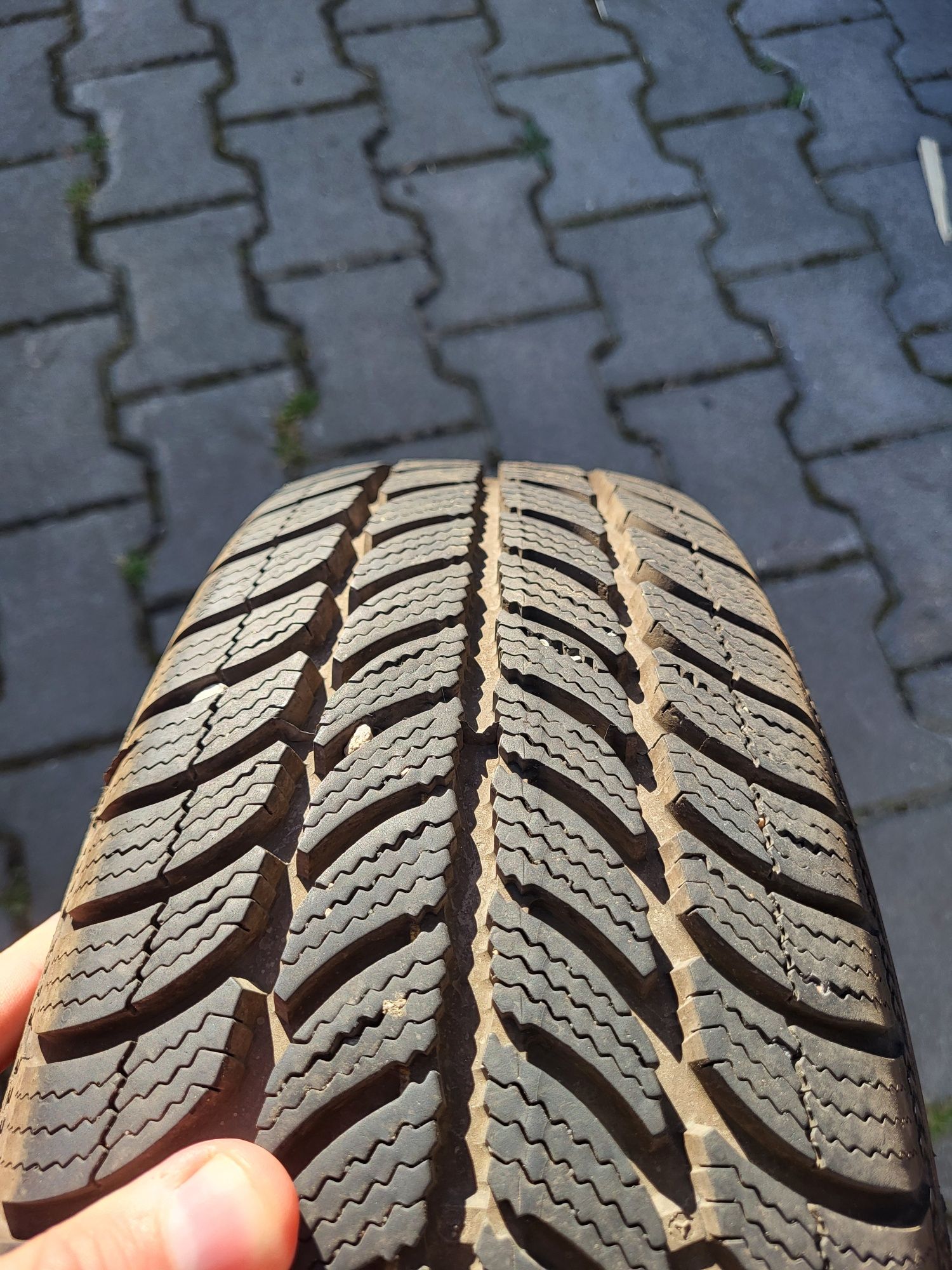 1 sezon 4x dębica frigo2 175/65 r14