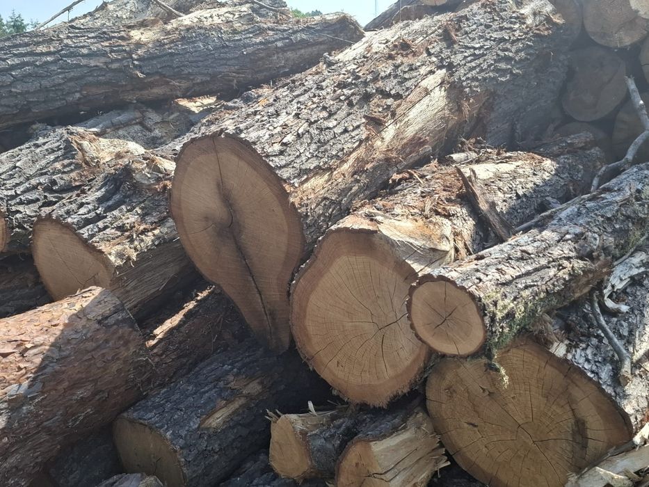 Sprzedaz drewna opalowe kominkowe