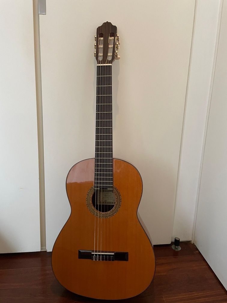 Guitarra acústica