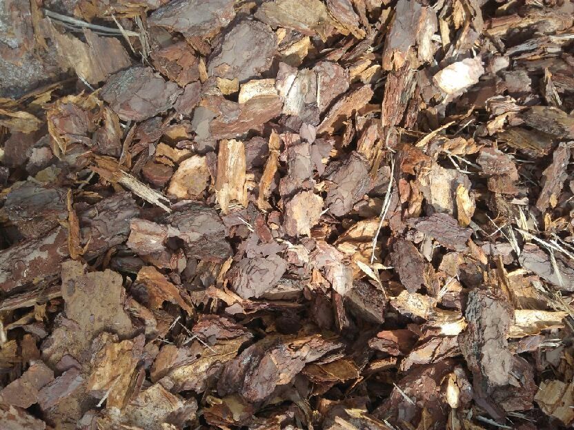 Kora sosnowa 60L TRANSPORT