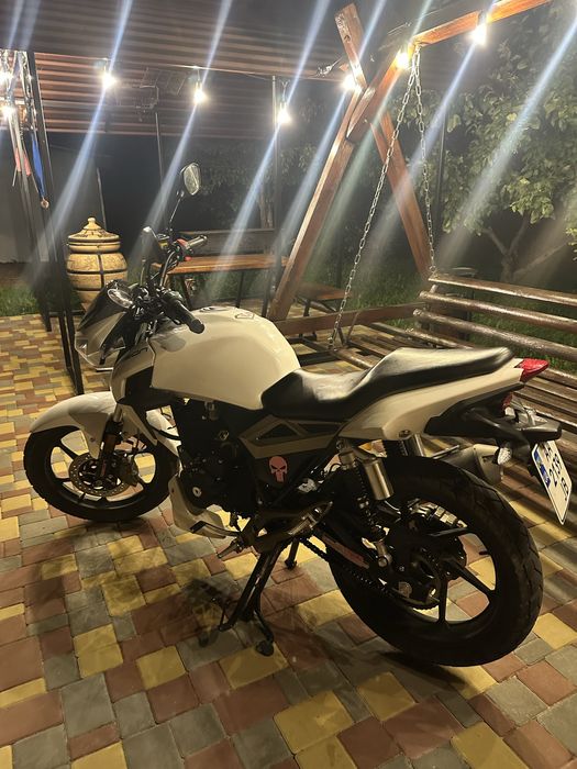 Geon pantera 250