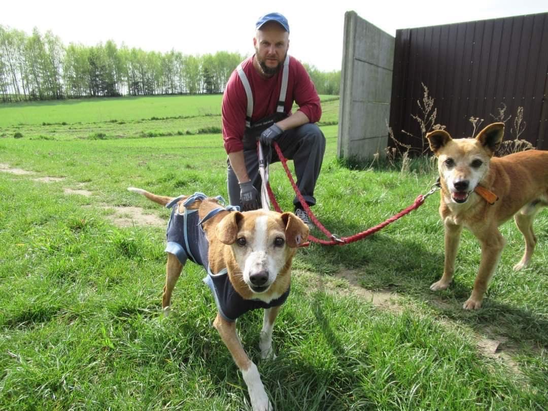 TYMEK uratowany z domu śmierci.Czy na koniec życia zazna miłości