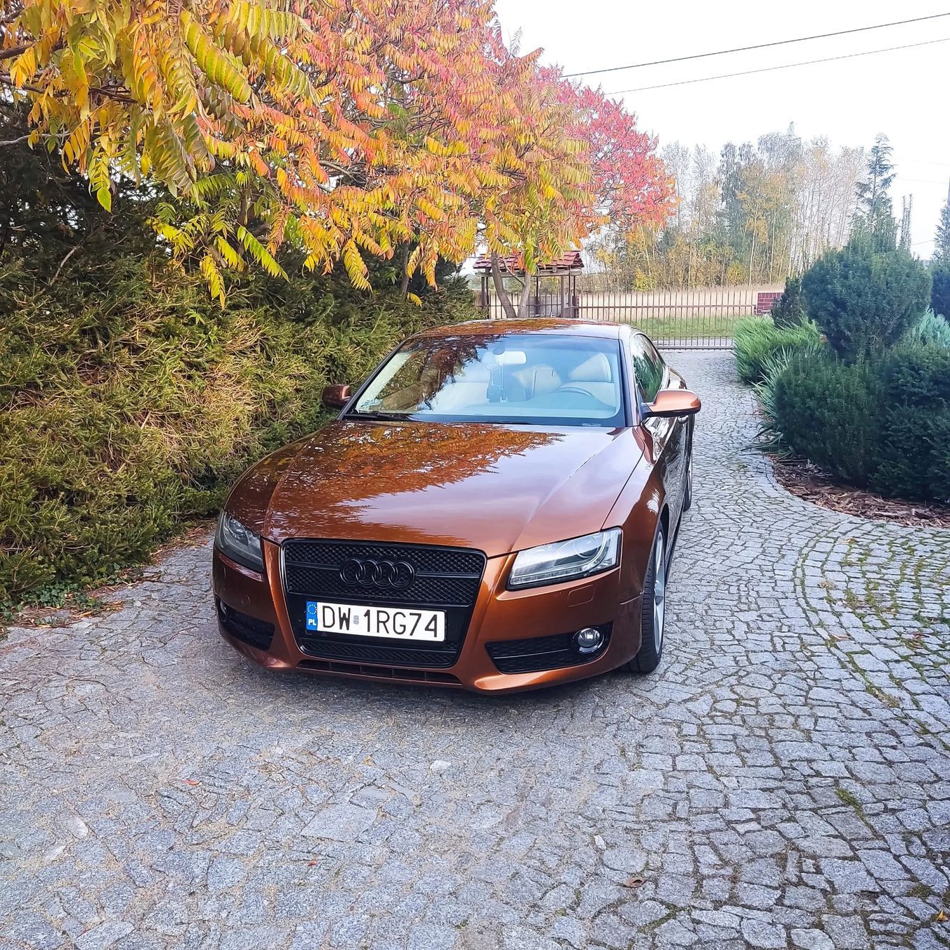 Audi A5 Auto na sprzedaż