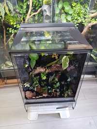 Terrarium tropikalne 40x40x60 gekon, jaszczurka