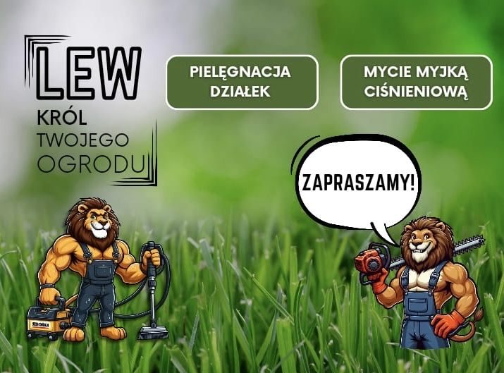 Usługi ogrodnicze, koszenie trawy, mycie kostki brukowej i elewacji