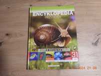 Encyklopedia Przyrody - Tom 31 - Zwierzęta -Bezkręgowce