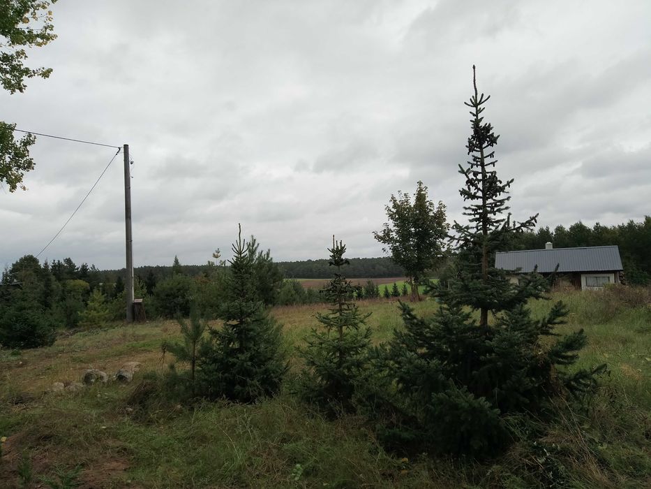 Działka 7135 m2 mieszkalno-usługowa z WZ o powierzchni zabudowy 850m2