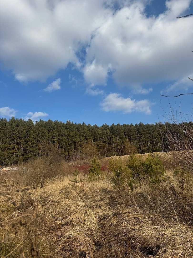 Продаж земельної ділянки в Рудно біля лісу