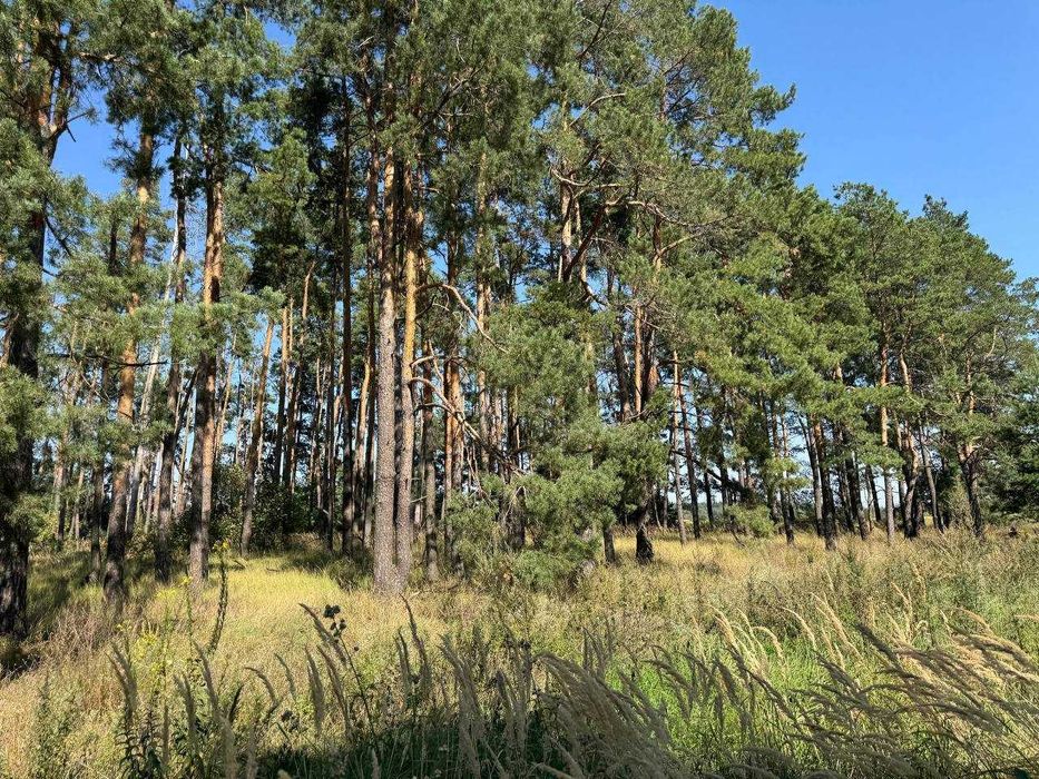 Продаж землі з власним озером під забудову! Прямий вихід в Ліс!