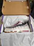 Nike SB Air Max 95 Summit White and Cactus Flower