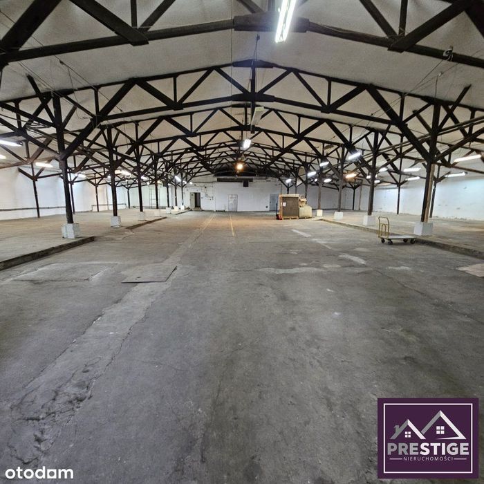 Do wynajęcia hala magazynowo-prdukcyjna blisko cen