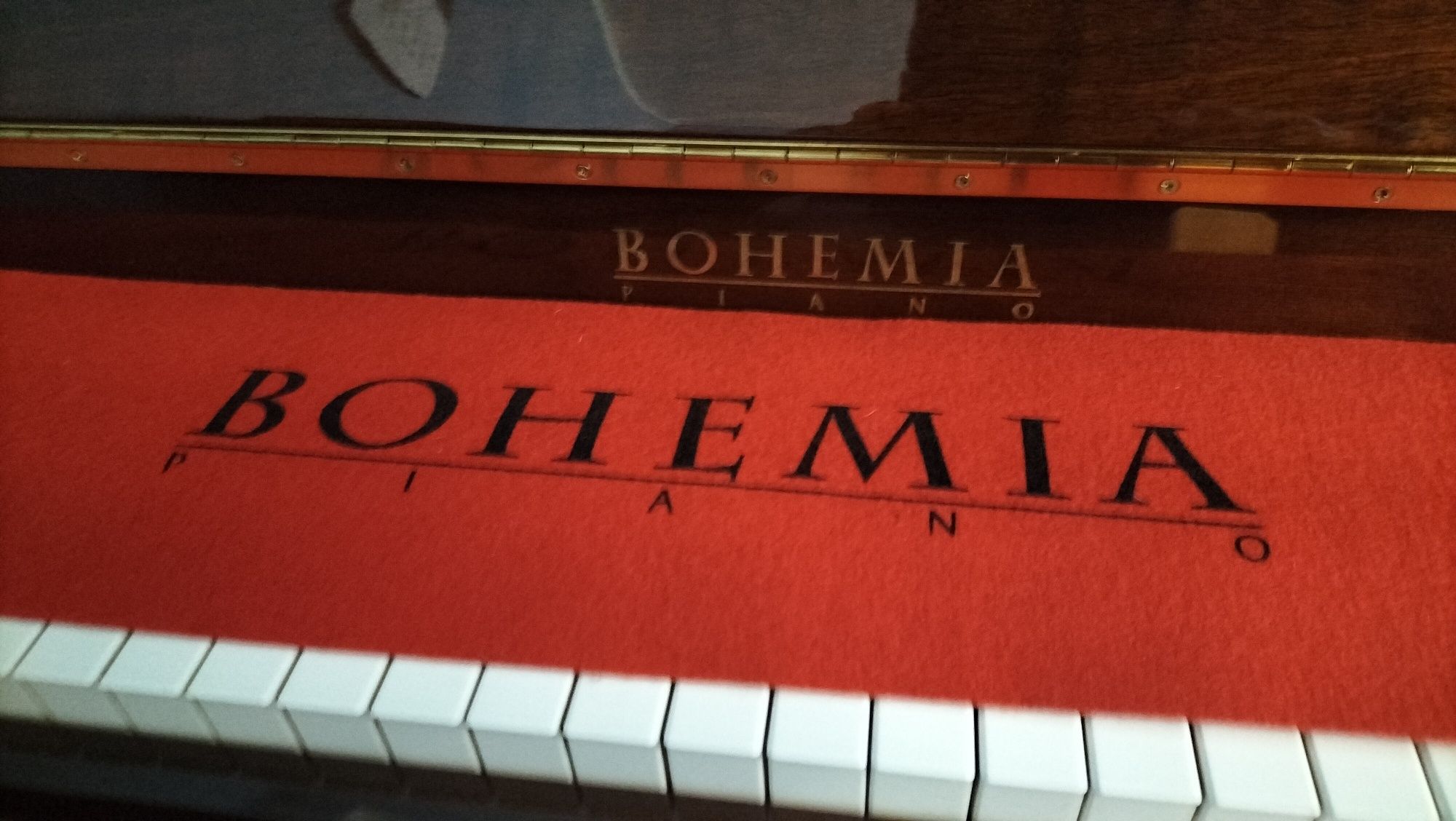 Panino Bohemia 110 piękne jak nowe