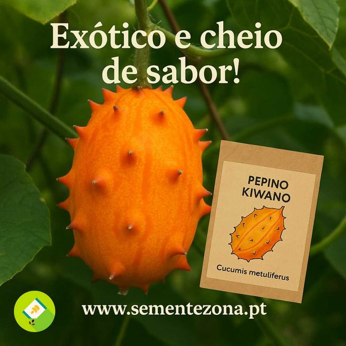 10 Sementes de Pepino Kiwano - Cucumis metuliferus
