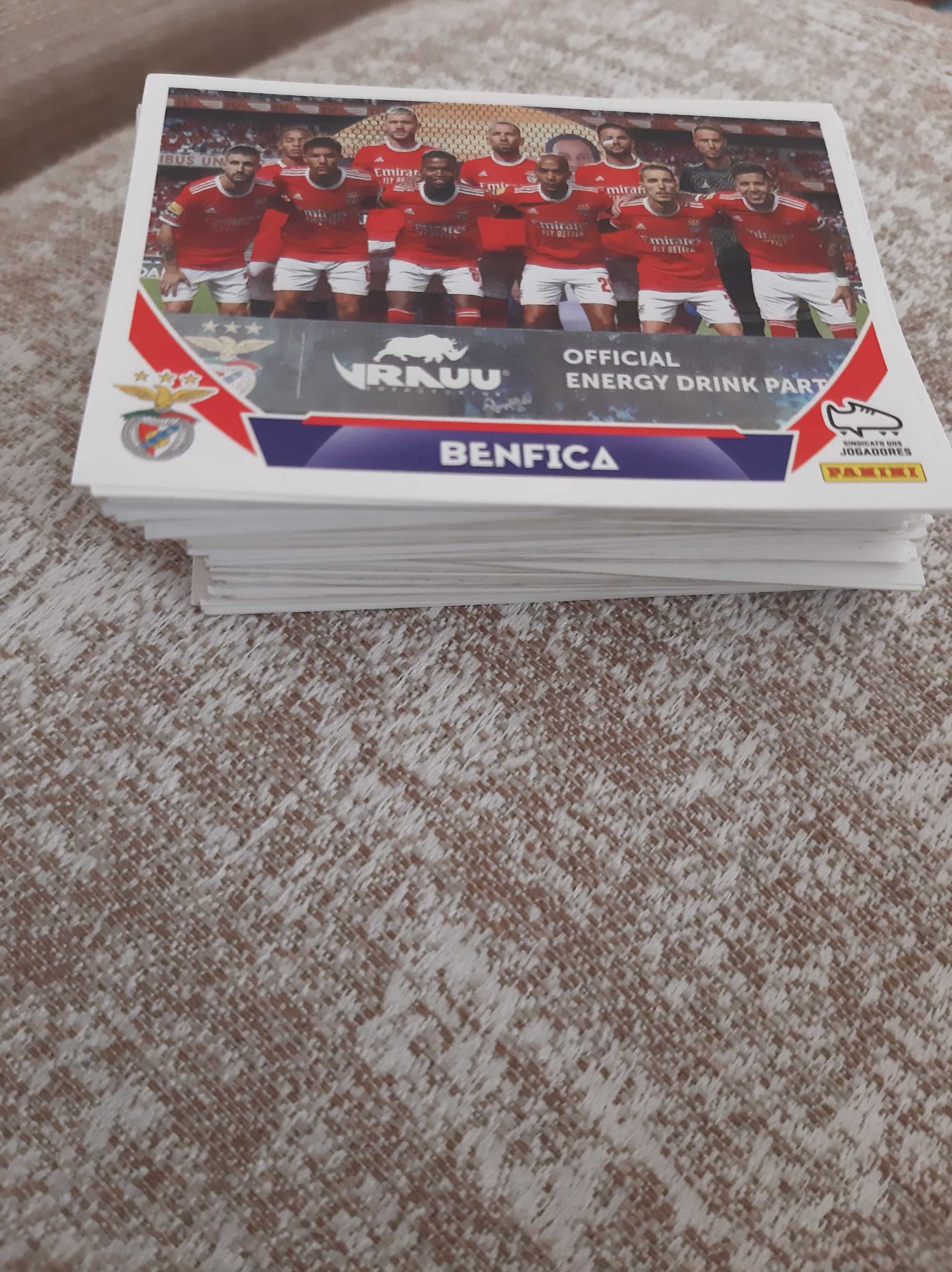 Troco/Vendo Cromos Bwin 22 / 23