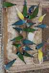 Diamante gould aves exóticos