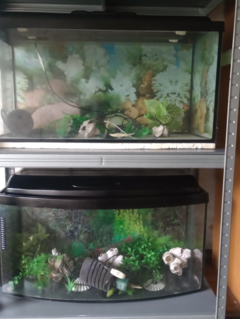Sprzedam akwarium 112 l