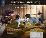 Wyżeł Czeski Fousek - rodowód FCI