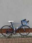 Rower szosowy GIANT DELFY 4
