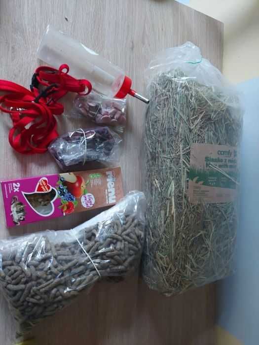 Wyprawka dla gryzonia (klatka, dodatkowe akcesoria)