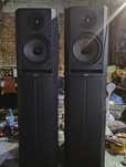 Kolumny B&W dm305