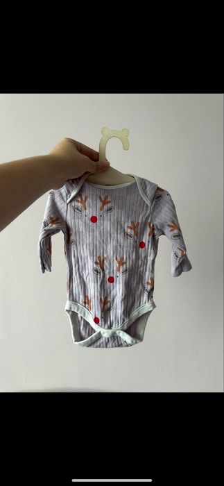 Bodziak prążek reniferki