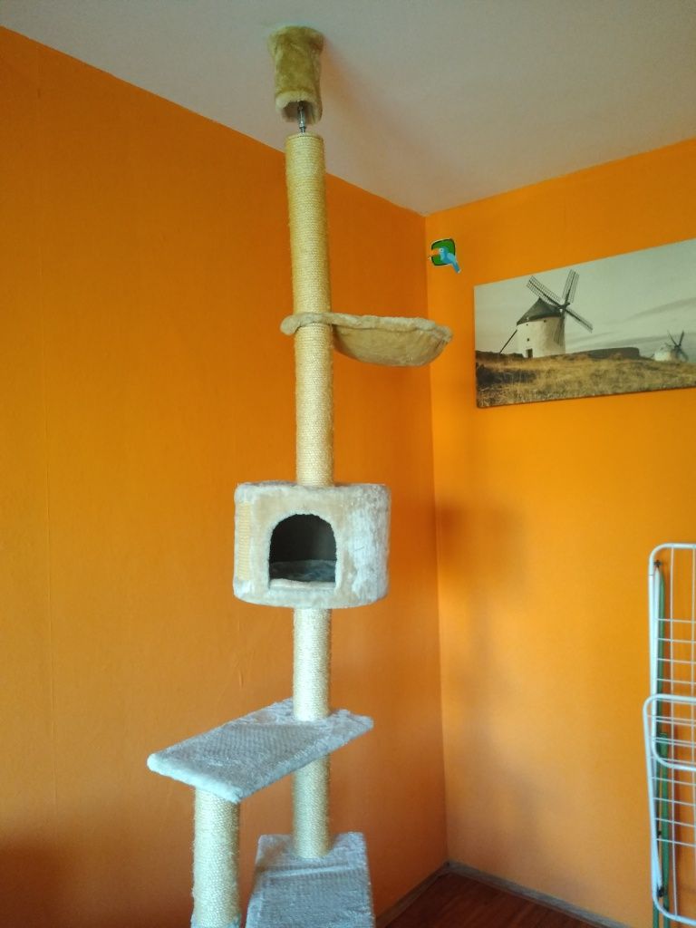 Drapak dla kota wysoki 2,5m
