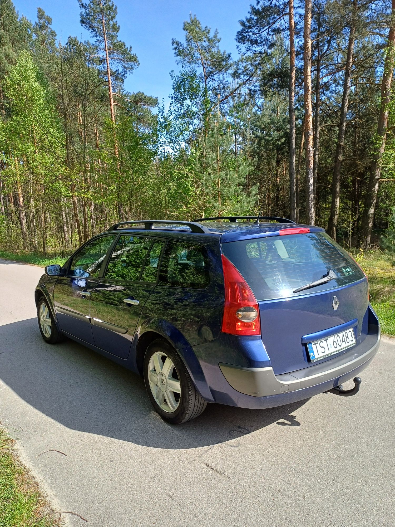 Renault Megane 1.9dci 120km 2005r.