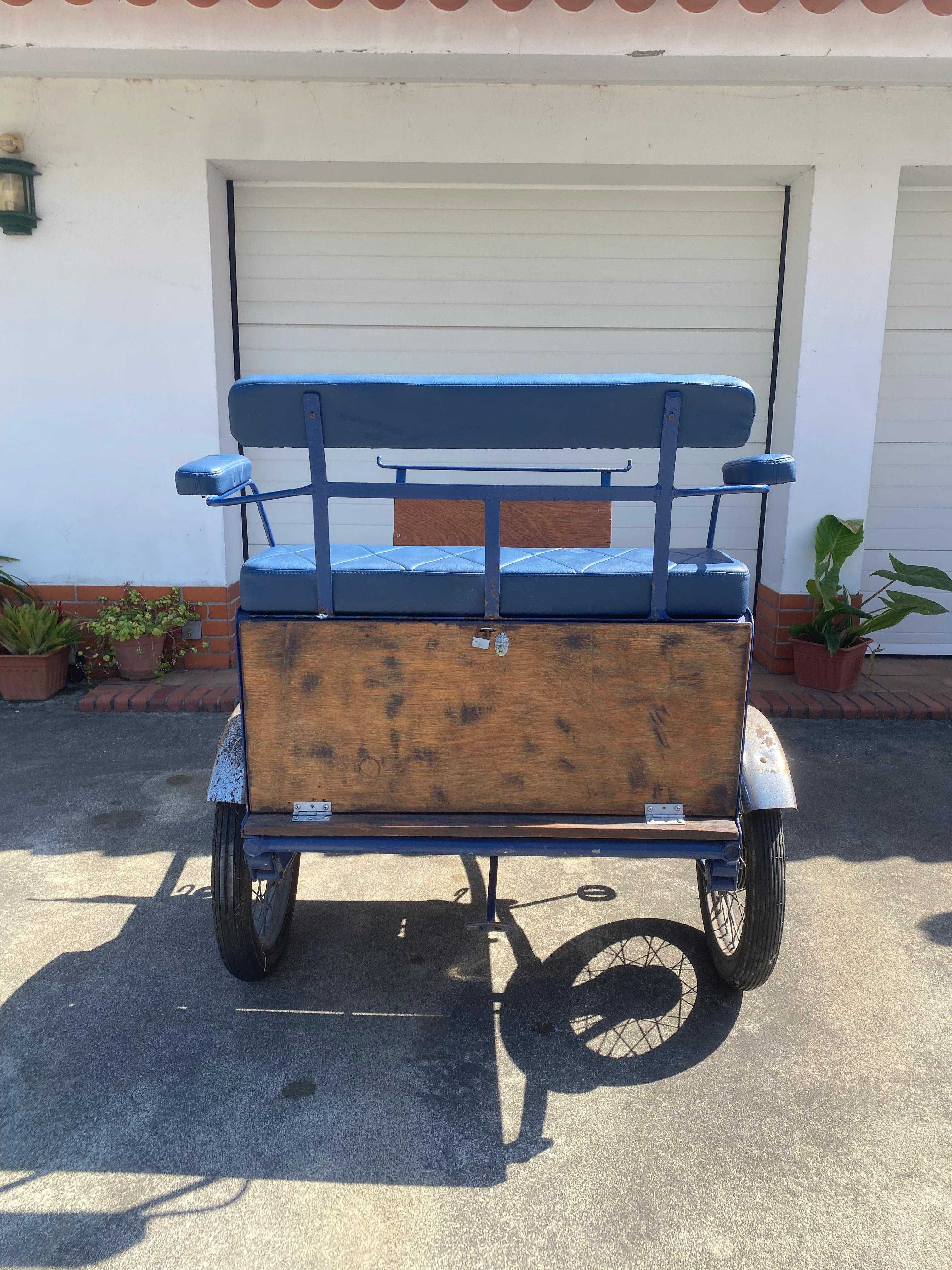 Charrete para Pónei + Arreios | Renovada e Bem Estimada
