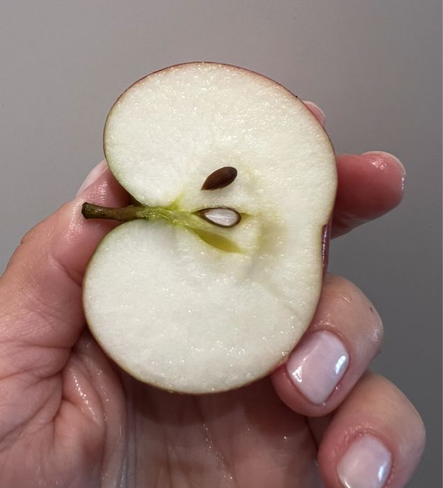 Jabłko Cortland na sok – od 100 kg po 1.5 zl