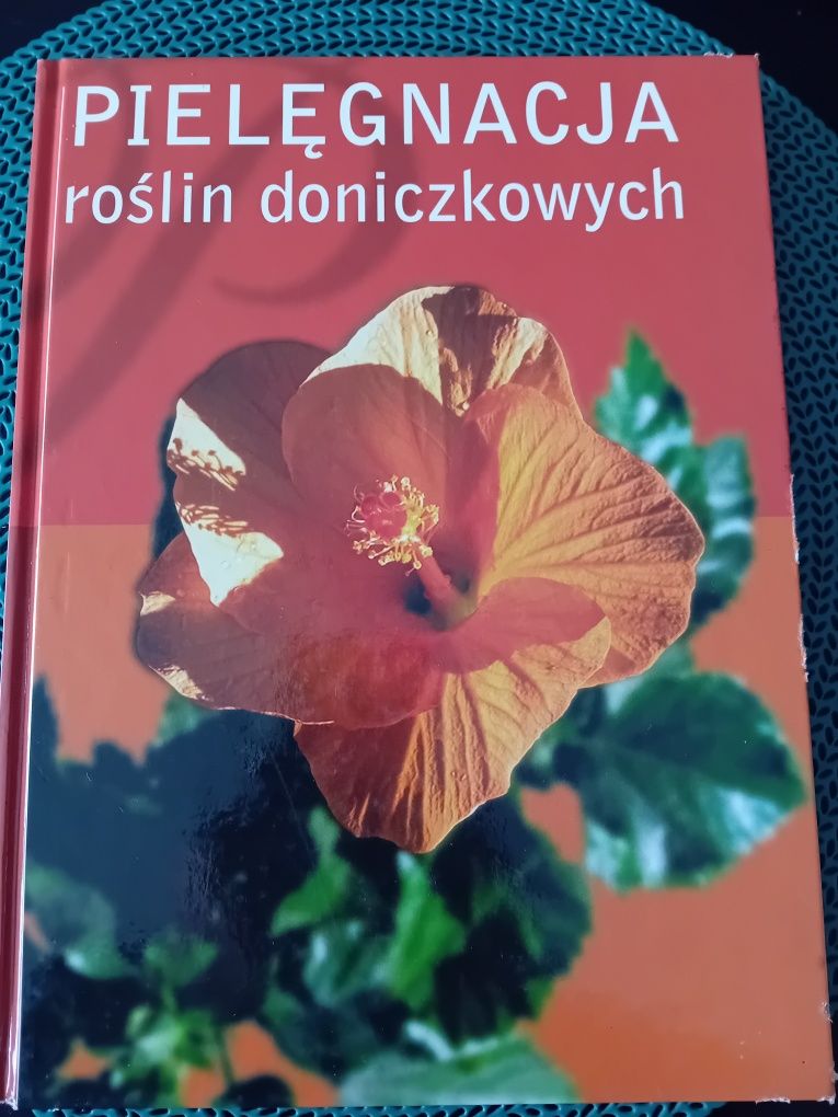 Pielęgnacja roślin doniczkowych