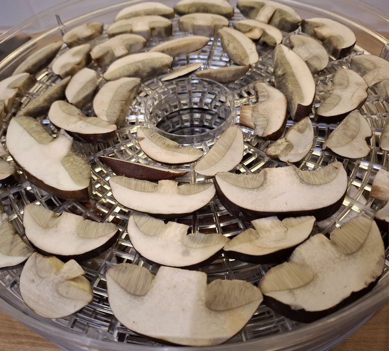 Grzyby suszone pogrzybki 100g, kapelusze, główki, runo leśne