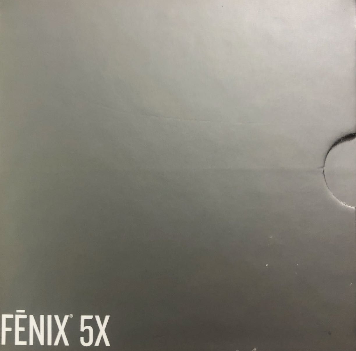 Garmin Fenix 5x sapphire