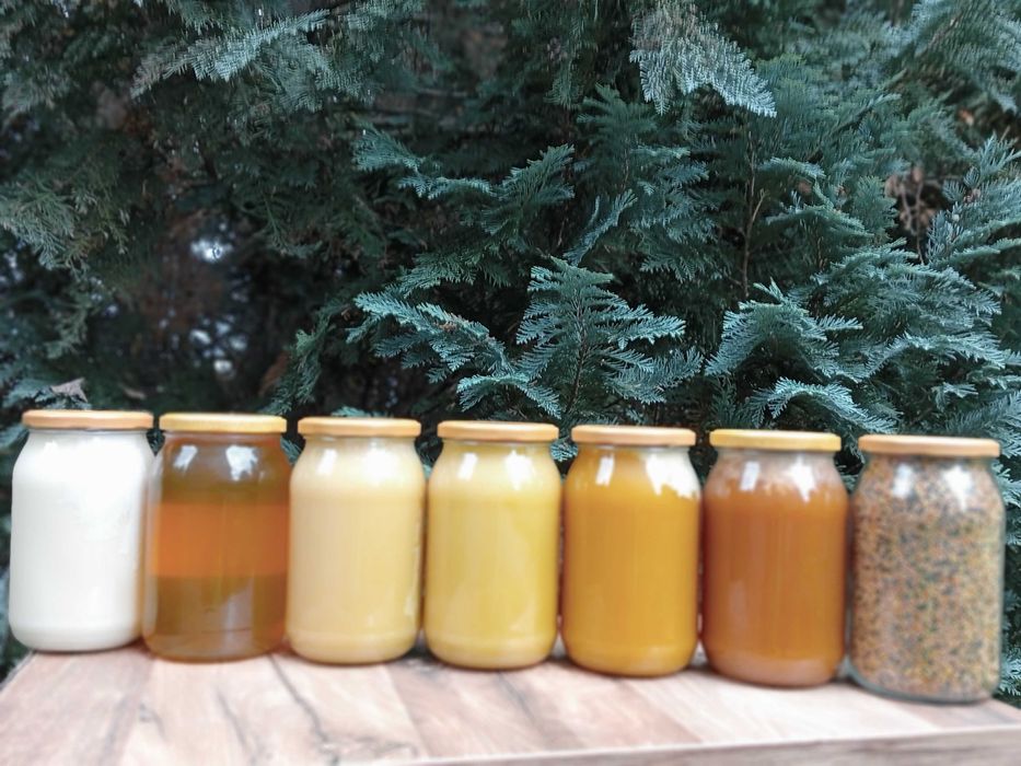 Miód pszczeli z Borow Tucholskich